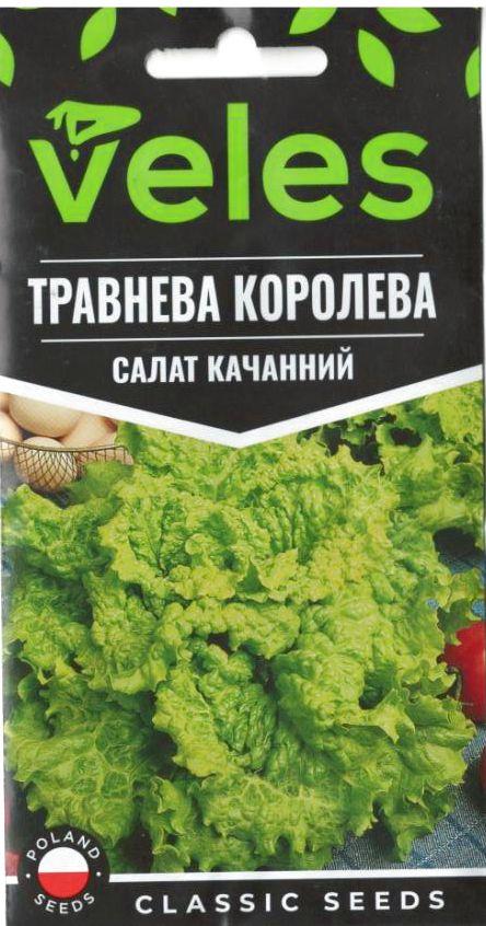 Насіння салату Травнева королева 1г ТМ ВЕЛЕС
