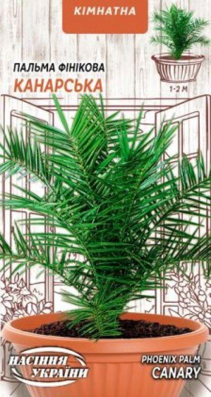 Насіння Квіти Пальма канарська /2 г/ 2 шт Насіння України
