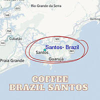 Кава у зернах Brazil Santos NY17/18