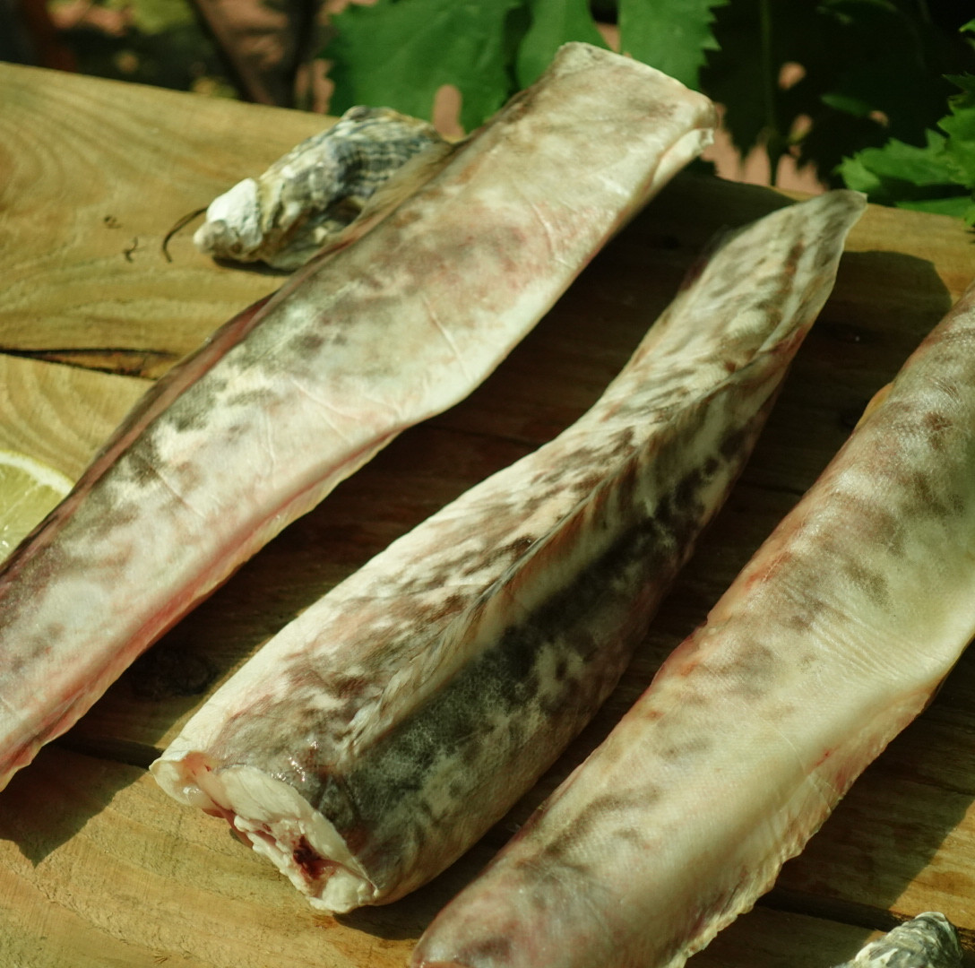 Кінг кліп (креветкова риба чи конгріо), тушки 0,5кг - 1 кг+ \шт, фото 1