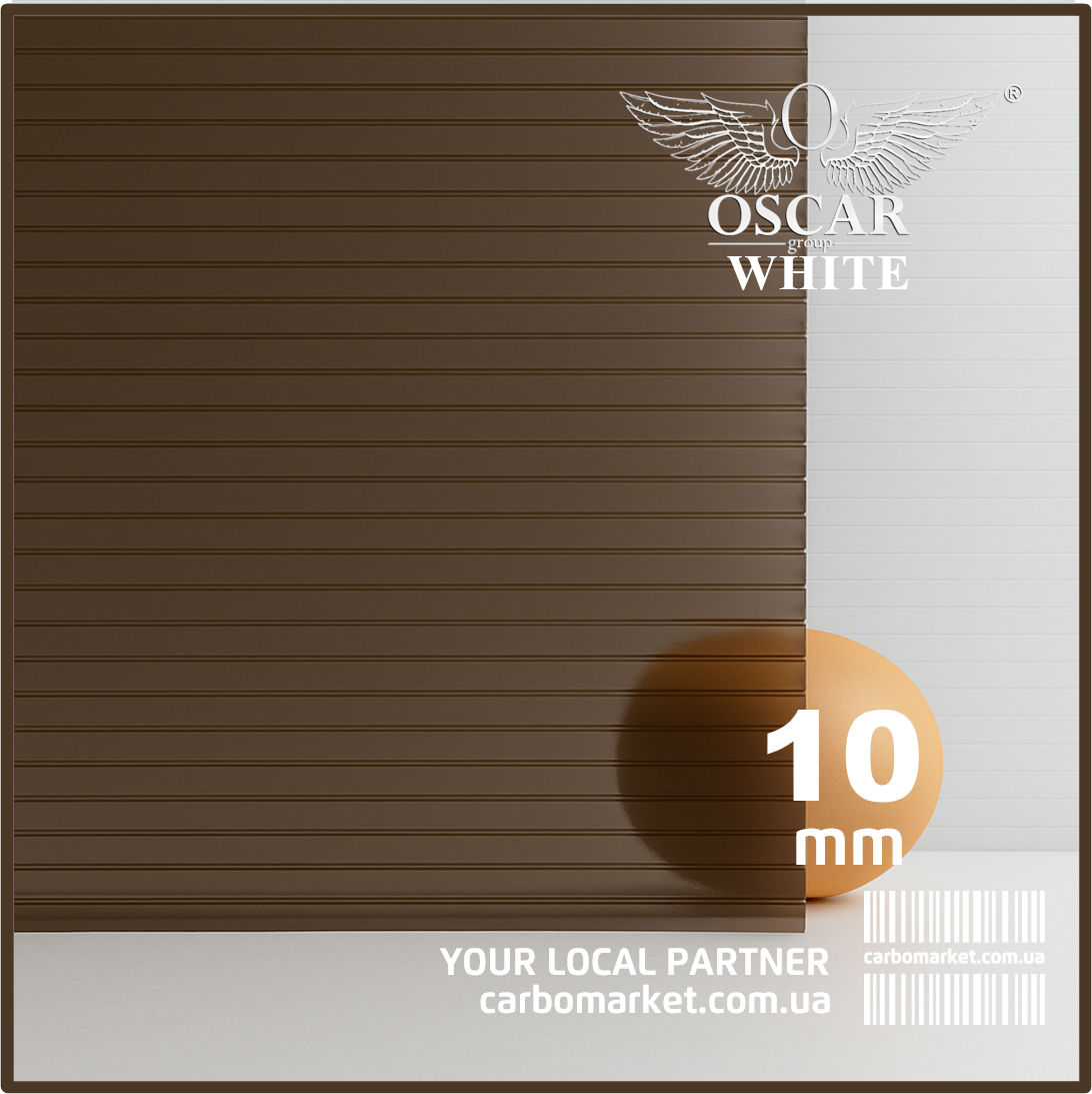 Стільниковий полікарбонат 2100Х3000Х10 mm OSCAR White бронза Сербія, фото 1