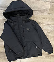 Модна демісезонна куртка на дівчинку, підліткова і доросла куртка на блискавці з капюшоном , р. 146-170