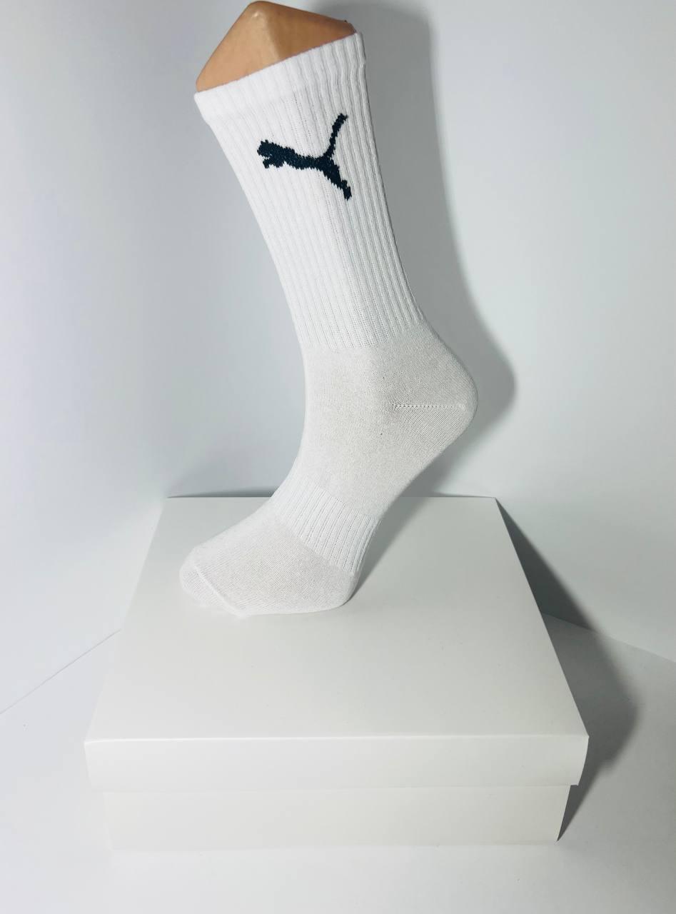 Набір з 24 пар чоловічих демісезонних високих з тенісною гумкою шкарпеток розмір 41-44 білі