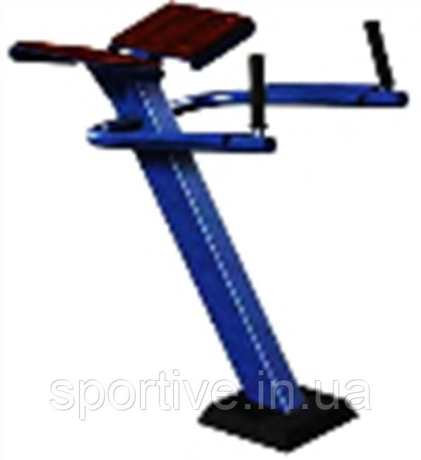 Зворотна гіперекстензія — від Sportive