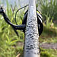 Карпове вудилище Fishing ROI Caiman Carp Rod 3.6м 3.50lbs 3-х секційна з високомодульного карбону, фото 8