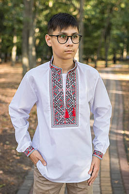 Підліткова вишиванка для хлопчика 12–17 років батіст бавовна комірець-стійка,164, Білий з червоним