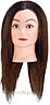 Навчальні голови-манекени для перукарів Comair "Standard" 30 см, коричневі (3010035), фото 3