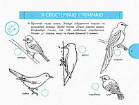 1 клас. НУШ Я досліджую світ Зошит~альбом 2 частина до підручника Тагліної О.В., Іванової Г.Ж. (Тагліна О.В.,, фото 5