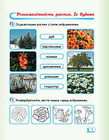 1 клас. НУШ Дидакта Я досліджую світ Робочий зошит до Гільберг Т.Г., Частина 2 (Назаренко А.А.), Ранок, фото 2