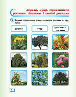 1 клас. НУШ Дидакта Я досліджую світ Робочий зошит до Гільберг Т.Г., Частина 2 (Назаренко А.А.), Ранок, фото 5