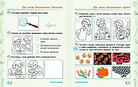 1 клас. НУШ Дидакта Я досліджую світ Робочий зошит до Гільберг Т.Г., Частина 1 (Назаренко А.А.), Ранок, фото 5
