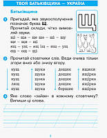 1 клас. Післябукварик До букваря Н. О. Воскресенської, І. В. Цепової (Цепова І.В., Тимченко Л.І.), Ранок, фото 2