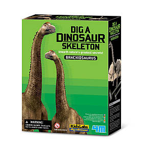 Науковий STEM набір Скелет брахіозавра від 4M