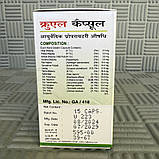 Круель Унджа Унха/Cruel Unjha/15 kaps У разі онкології, туберкульозу, анемії. Термін до 07/2029, фото 2