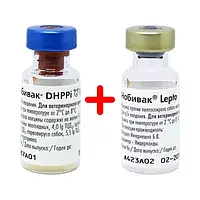 Нобівак DHPPI + Нобівак L лепто (1 фл+1 фл Комплект) *10 MSD