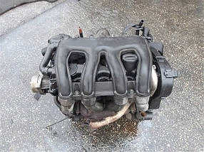 Двигун Пежо Експерт DW8