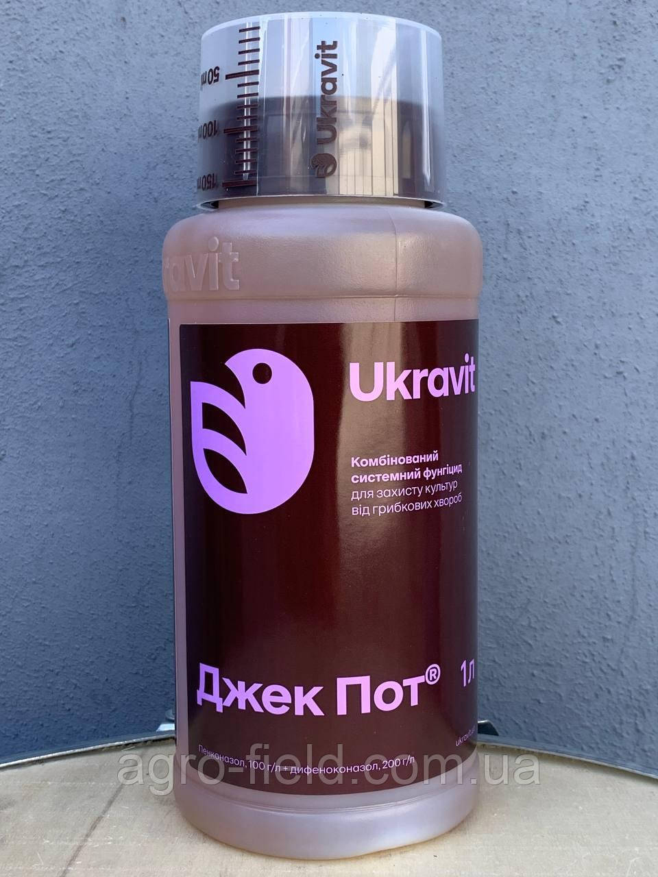 Фунгіцид Джек Пот 1л (Пенконазол 100 г/л + дифеньйоназол 200 г/л), фото 1