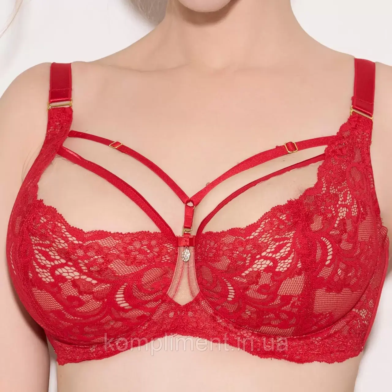 Бюстгальтер мереживний на кісточках Lanny mode,11348 чашка С
