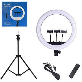 Кільцева світлодіодна LED лампа 54 см Набір блогера 2в1 з штативом пультом і трьома тримачами RL-21