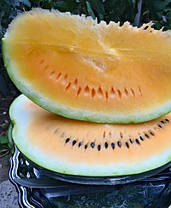 Насіння Кавун Оранж Лакшері F1, 5 насінин Lark Seeds Агропак, фото 4