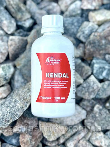 Стимулятор росту Kendal 100 мл Valagro, фото 1