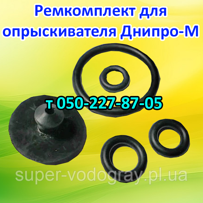 Ремкомплект для ручного обприскувача Дніпро-М, фото 1