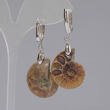 Сережки з натуральними Амонітами 24х17х6мм+- L-50мм+-