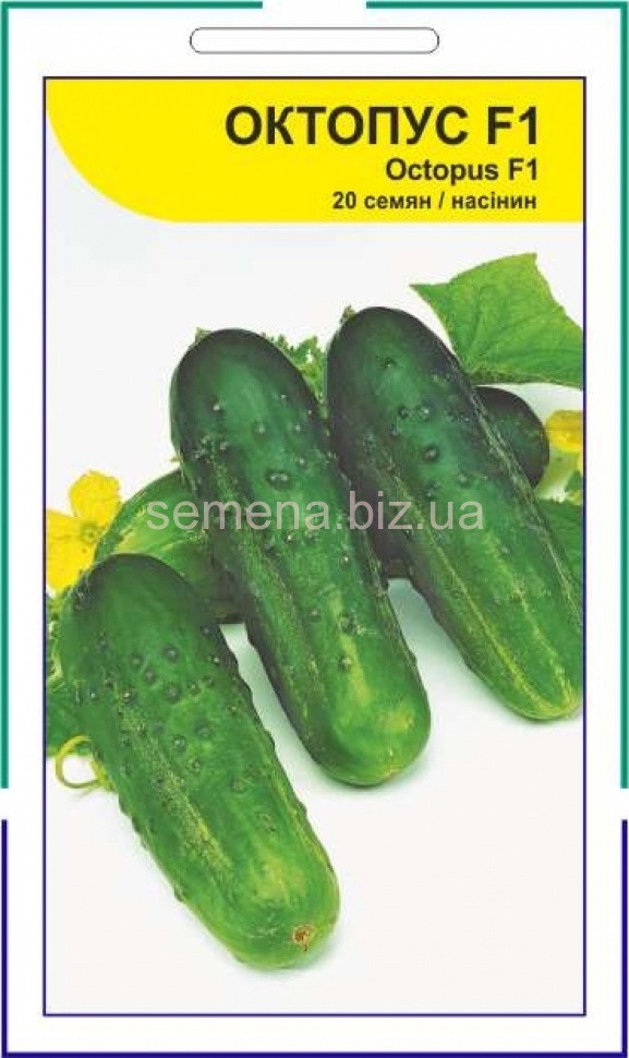 Огірок бджолозап. Октопус 20нас. АПГ, фото 1