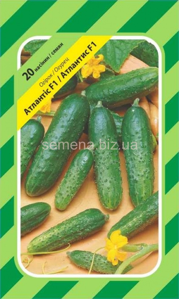 Огірок бджолозап. Атлантіс F1/20нас/ран. засол./ АПГ, фото 1