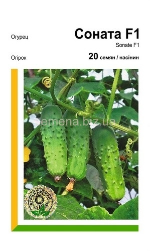 Огірок бджолозап. Соната F1/20нас/раний/ АПГ, фото 1