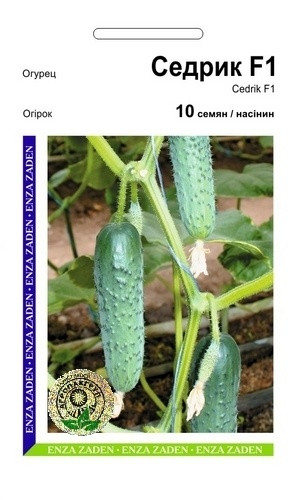 Огірок партенокарп. Седрік F1/10нас/ран,11-13см/АПГ, фото 1