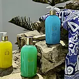 Рідке мило від Casa Amalfi Take me to Capri (Італія) (500 мл), фото 3