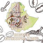 Кава Ethiopia Limu - перлина кавової батьківщини