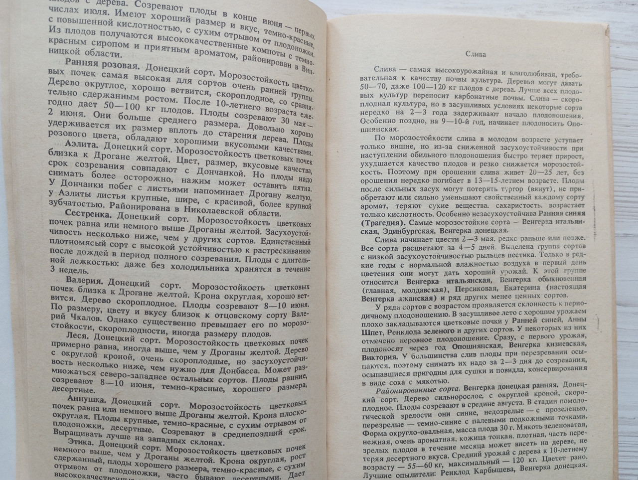 Product image preview