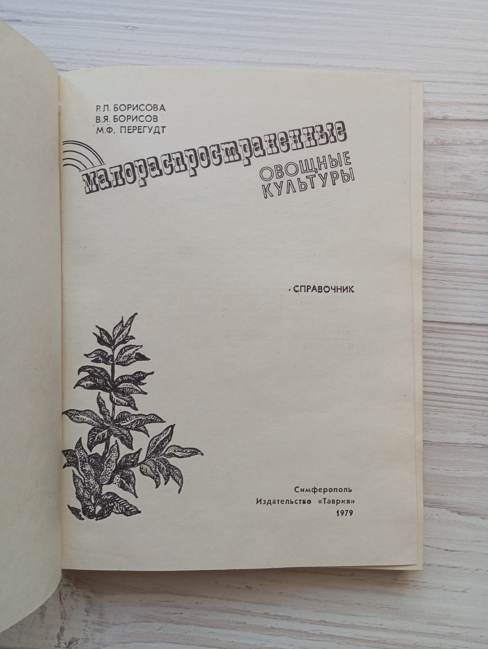 Product image preview