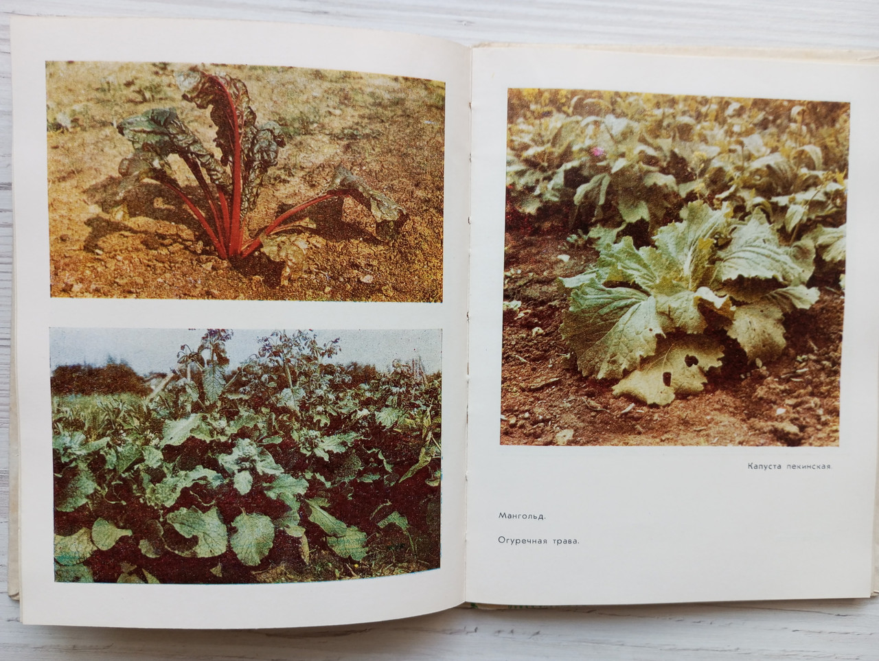 Product image preview