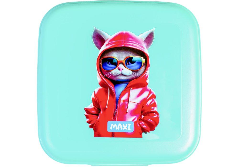 Ланчбокс-пластик. "Maxi" 850мл м'ятний №MX98141(15), фото 1