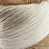 Пряжа Poema/Поема, від молочного до коричневого 400, Laines du Nord, фото 4