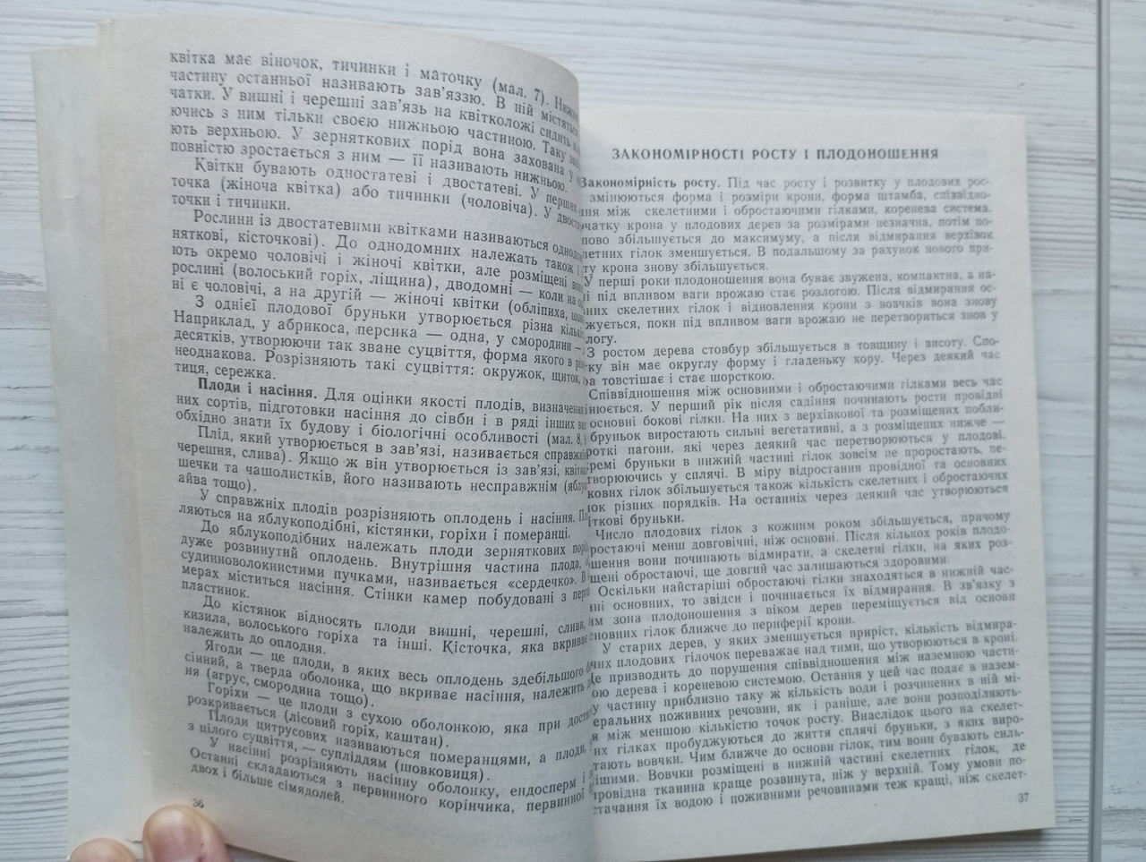 Product image preview