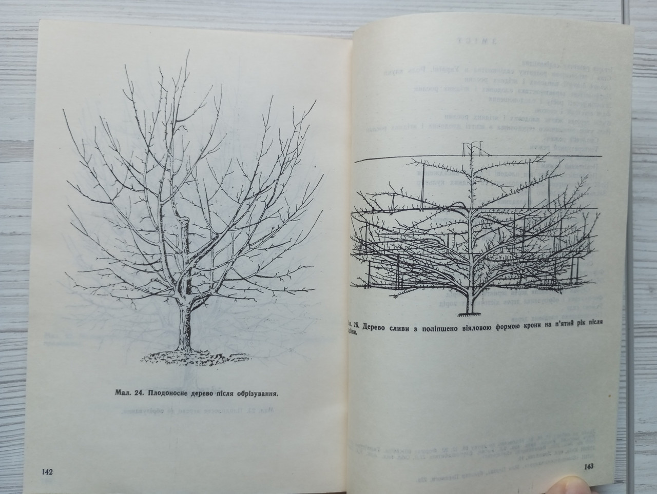 Product image preview