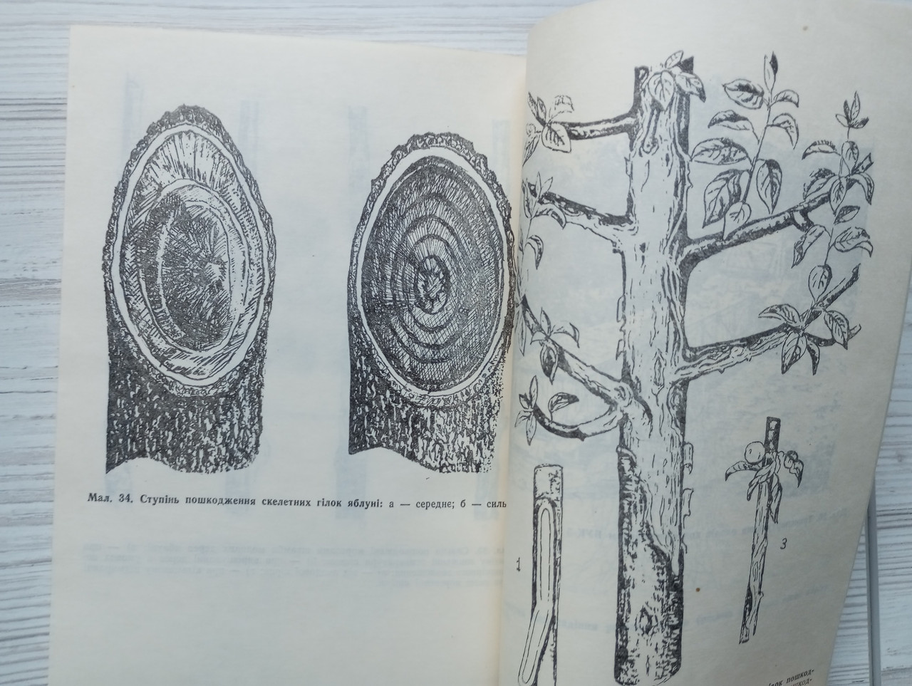 Product image preview