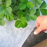 Агроволокно чорно-біле. Для мульчування. Щільність 50 г/м2. 1.07 х 50 м. "Shadow". Чехія, фото 6