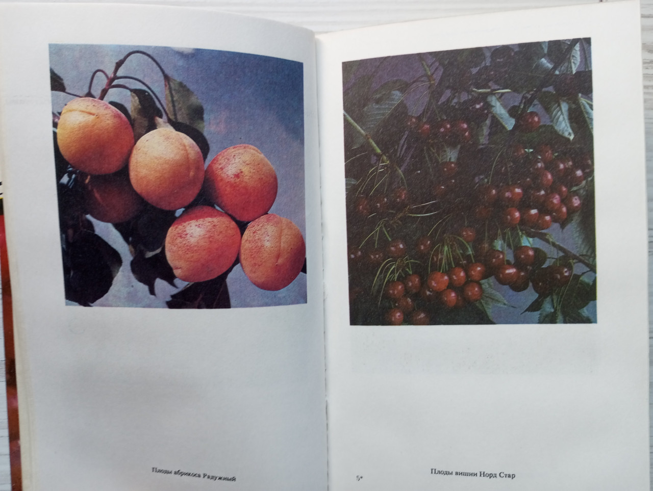 Product image preview