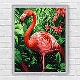Картина за номерами Птахи. Тропічний фламінго 30*40 см Ідейка KHO 6779, фото 6