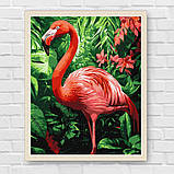 Картина за номерами Птахи. Тропічний фламінго 30*40 см Ідейка KHO 6779, фото 7