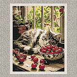 Алмазна мозаїка/вишивка Кошеня на вікні 40*50 см Орігамі OD 3510, фото 2