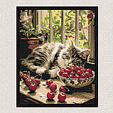 Алмазна мозаїка/вишивка Кошеня на вікні 40*50 см Орігамі OD 3510, фото 4
