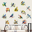 Інтер'єрна наклейка на стіну птахи, 4 аркуші самоклеючі 3d наклейки на стіну, фото 3