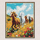 Алмазна мозаїка/вишивка Коні у полі 40*50 см Ідейка AMO 8017, фото 5