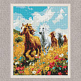 Алмазна мозаїка/вишивка Коні у полі 40*50 см Ідейка AMO 8017, фото 2